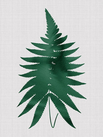 Fern Green Poster White Modern Wood Framed Art Print with Double Matting by Urban Road