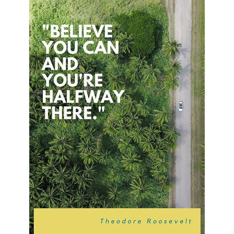 Theodore Roosevelt Quote: Believe You Can White Modern Wood Framed Art Print by ArtsyQuotes