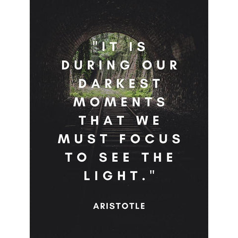 Aristotle Quote: See the Light Gold Ornate Wood Framed Art Print with Double Matting by ArtsyQuotes