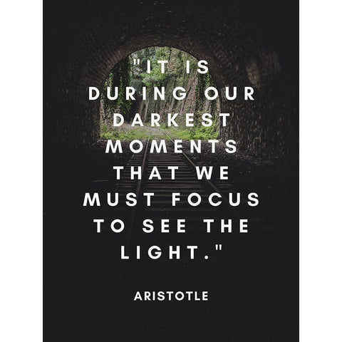 Aristotle Quote: See the Light Black Modern Wood Framed Art Print by ArtsyQuotes