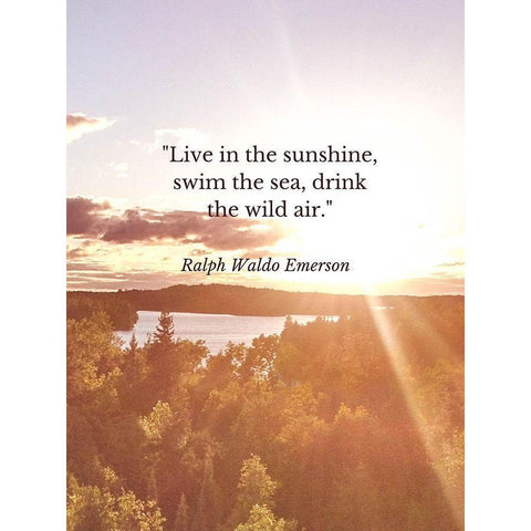 Ralph Waldo Emerson Quote: Swim the Sea Gold Ornate Wood Framed Art Print with Double Matting by ArtsyQuotes
