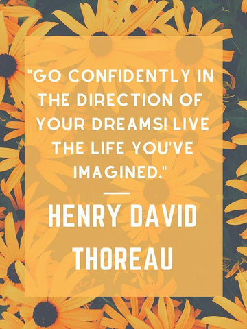 Henry David Thoreau Quote: Go Confidently White Modern Wood Framed Art Print with Double Matting by ArtsyQuotes