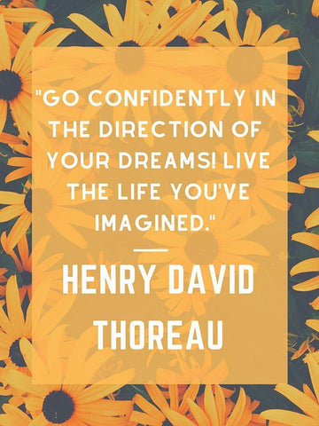Henry David Thoreau Quote: Go Confidently Black Ornate Wood Framed Art Print with Double Matting by ArtsyQuotes