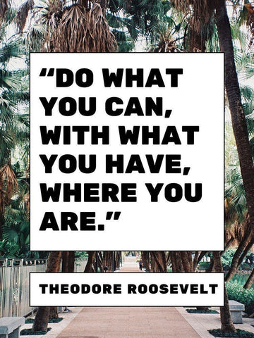 Theodore Roosevelt Quote: What You Have White Modern Wood Framed Art Print with Double Matting by ArtsyQuotes