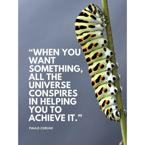 Paulo Coelho Quote: Want Something Gold Ornate Wood Framed Art Print with Double Matting by ArtsyQuotes