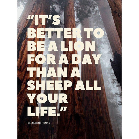 Elizabeth Kenny Quote: Lion for a Day White Modern Wood Framed Art Print by ArtsyQuotes