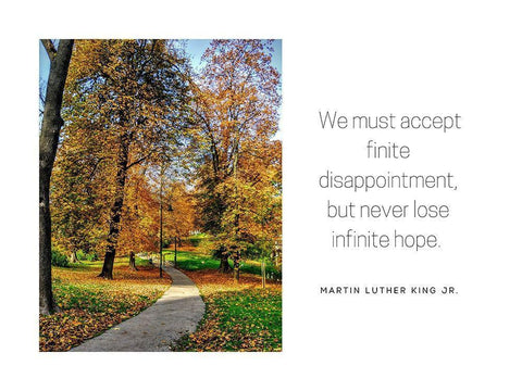 Martin Luther King, Jr. Quote: Accept Finite Disappointment White Modern Wood Framed Art Print with Double Matting by ArtsyQuotes