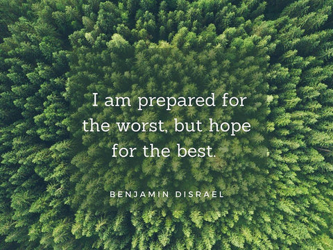 Benjamin Disraeli Quote: Prepared for the Worst Black Ornate Wood Framed Art Print with Double Matting by ArtsyQuotes