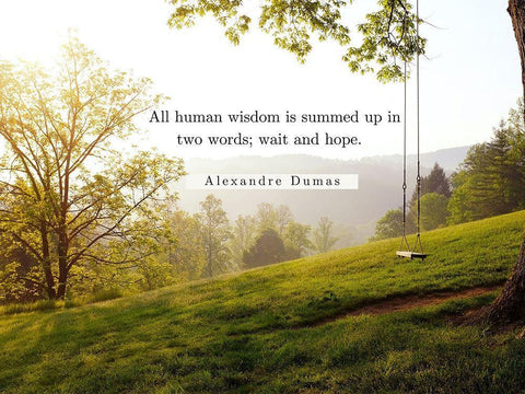 Alexandre Dumas Quote: Human Wisdom Black Ornate Wood Framed Art Print with Double Matting by ArtsyQuotes