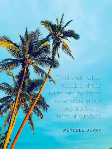 Wendell Berry Quote: To Cherish White Modern Wood Framed Art Print with Double Matting by ArtsyQuotes