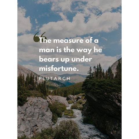 Plutarch Quote: Misfortune White Modern Wood Framed Art Print by ArtsyQuotes