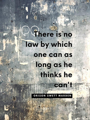 Orison Swett Marden Quote: There is No Law Black Ornate Wood Framed Art Print with Double Matting by ArtsyQuotes