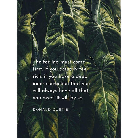 Donald Curtis Quote: Deep Inner Conviction Black Modern Wood Framed Art Print with Double Matting by ArtsyQuotes