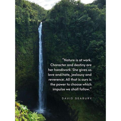 David Seabury Quote: Nature is at Work Black Modern Wood Framed Art Print by ArtsyQuotes