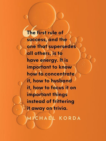 Michael Korda Quote: The First Rule of Success Black Ornate Wood Framed Art Print with Double Matting by ArtsyQuotes
