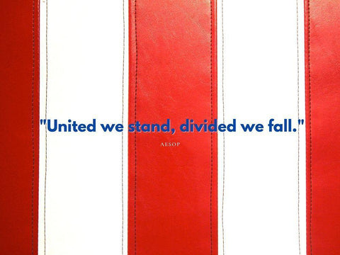 Aesop Quote: United We Stand White Modern Wood Framed Art Print with Double Matting by ArtsyQuotes