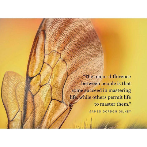 James Gordon Gilkey Quote: Mastering Life Gold Ornate Wood Framed Art Print with Double Matting by ArtsyQuotes