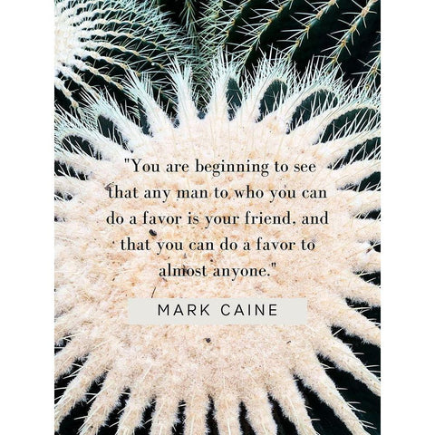 Mark Caine Quote: Favor is Your Friend Gold Ornate Wood Framed Art Print with Double Matting by ArtsyQuotes