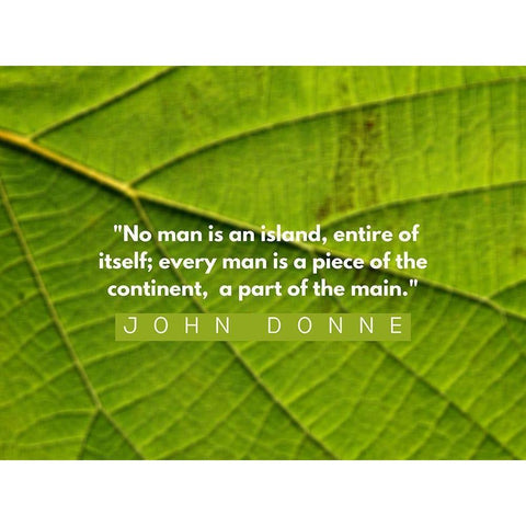 John Donne Quote: No Man is an Island Black Modern Wood Framed Art Print with Double Matting by ArtsyQuotes