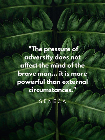 Seneca Quote: Adversity Black Ornate Wood Framed Art Print with Double Matting by ArtsyQuotes