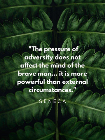 Seneca Quote: Adversity White Modern Wood Framed Art Print with Double Matting by ArtsyQuotes