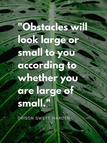 Orison Swett Marden Quote: Obstacles Black Ornate Wood Framed Art Print with Double Matting by ArtsyQuotes