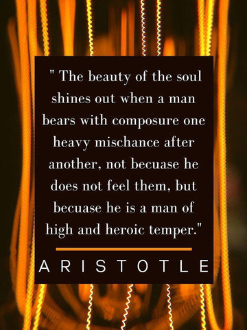 Aristotle Quote: The Soul Shines White Modern Wood Framed Art Print with Double Matting by ArtsyQuotes