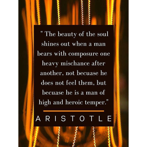 Aristotle Quote: The Soul Shines Gold Ornate Wood Framed Art Print with Double Matting by ArtsyQuotes
