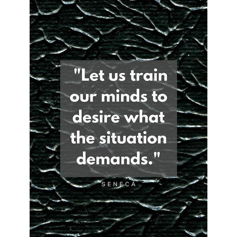 Seneca Quote: Our Minds Black Modern Wood Framed Art Print with Double Matting by ArtsyQuotes