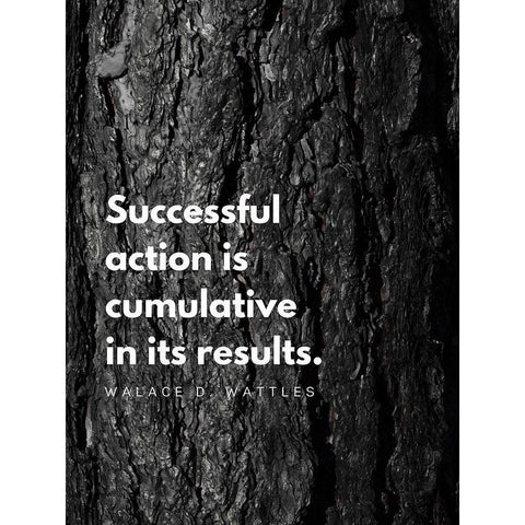 Wallace D. Wattles Quote: Successful Action Black Modern Wood Framed Art Print with Double Matting by ArtsyQuotes