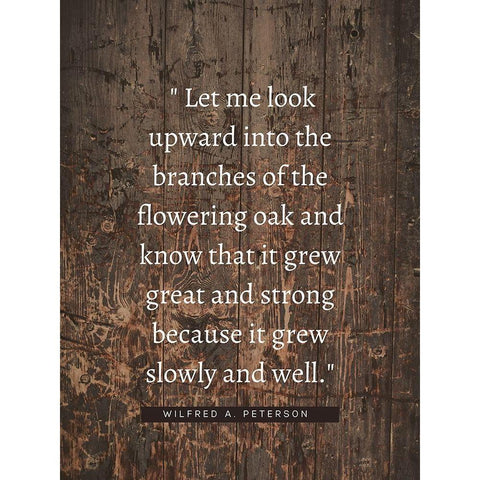 Wilfred A. Peterson Quote: Flowering Oak White Modern Wood Framed Art Print by ArtsyQuotes