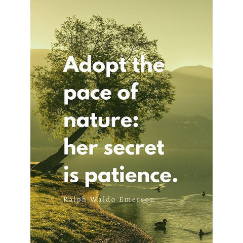 Ralph Waldo Emerson Quote: Adopt the Pace White Modern Wood Framed Art Print by ArtsyQuotes