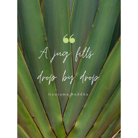 Gautama Buddha Quote: Drop by Drop White Modern Wood Framed Art Print by ArtsyQuotes