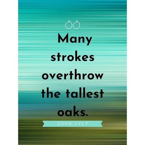 John Lyly Quote: Many Strokes Black Modern Wood Framed Art Print with Double Matting by ArtsyQuotes