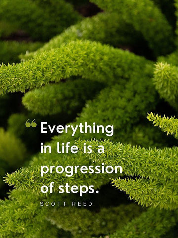 Scott Reed Quote: Progression of Steps Black Ornate Wood Framed Art Print with Double Matting by ArtsyQuotes