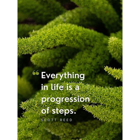 Scott Reed Quote: Progression of Steps White Modern Wood Framed Art Print by ArtsyQuotes