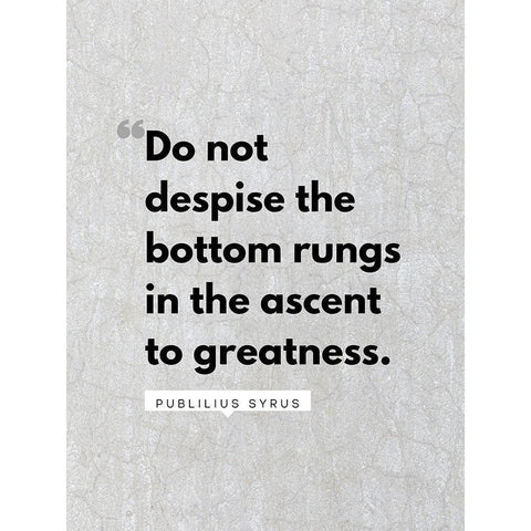 Publilius Syrus Quote: The Bottom Rungs White Modern Wood Framed Art Print by ArtsyQuotes
