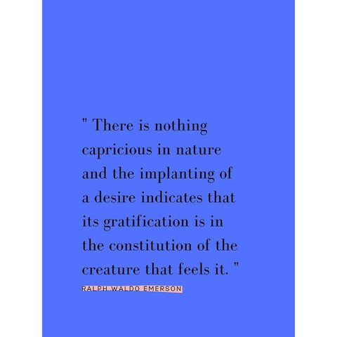 Ralph Waldo Emerson Quote: Implanting of a Desire Black Modern Wood Framed Art Print with Double Matting by ArtsyQuotes