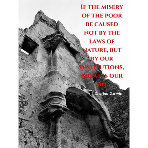 Charles Darwin Quote: Misery of the Poor White Modern Wood Framed Art Print by ArtsyQuotes