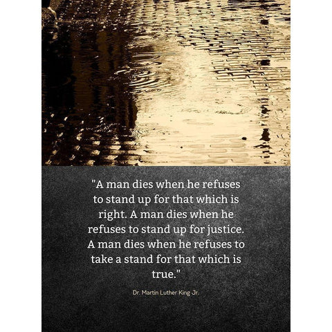 Dr. Martin Luther King Jr. Quote: Stand Up Black Modern Wood Framed Art Print by ArtsyQuotes