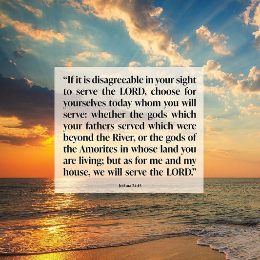 Image Only