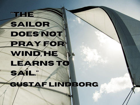 Gustaf Lindborg Quote: He Learns to Sail Black Ornate Wood Framed Art Print with Double Matting by ArtsyQuotes