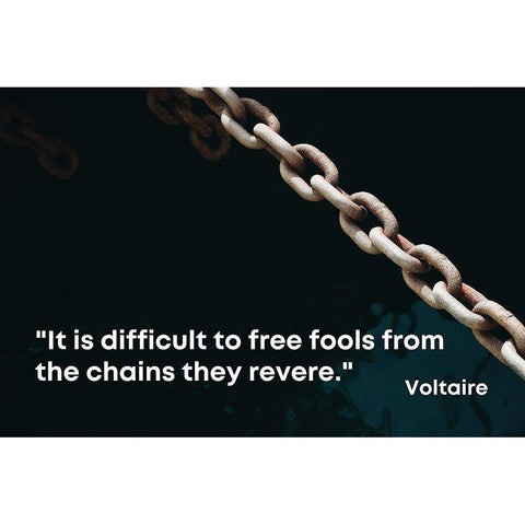 Voltaire Quote: Free Fools White Modern Wood Framed Art Print by ArtsyQuotes