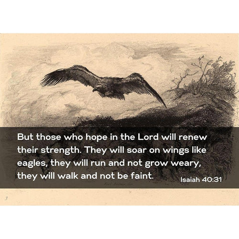 Bible Verse Quote Isaiah 40:31, Karl Bodmer - Eagle Flying White Modern Wood Framed Art Print by ArtsyQuotes