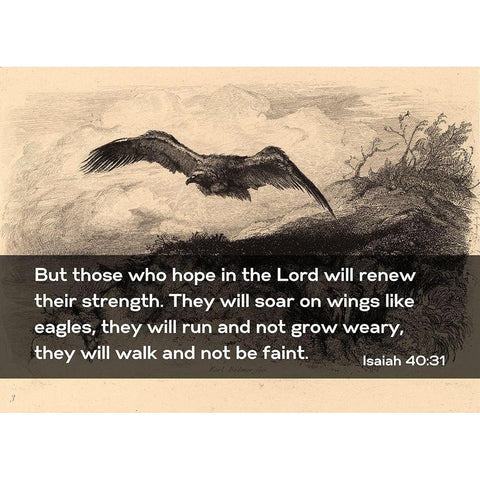 Bible Verse Quote Isaiah 40:31, Karl Bodmer - Eagle Flying Black Modern Wood Framed Art Print with Double Matting by ArtsyQuotes