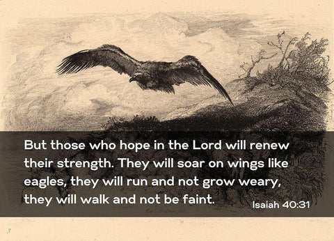 Bible Verse Quote Isaiah 40:31, Karl Bodmer - Eagle Flying Black Ornate Wood Framed Art Print with Double Matting by ArtsyQuotes