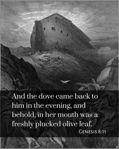 Bible Verse Quote Genesis 8:11, Gustave Dore - The Dove sent forth from the Ark White Modern Wood Framed Art Print with Double Matting by ArtsyQuotes