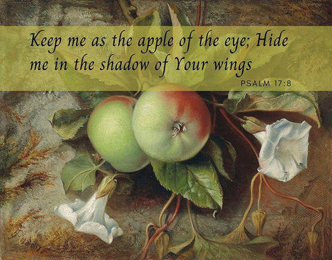 Bible Verse Quote Psalm 17:8, Edward John Poynter - Autumn Apples and Convolvulus Black Ornate Wood Framed Art Print with Double Matting by ArtsyQuotes