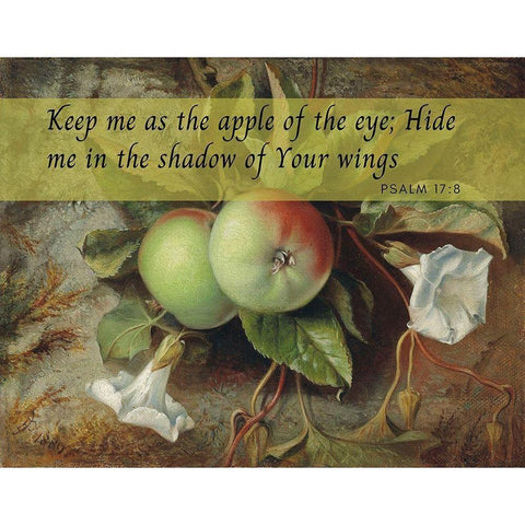 Bible Verse Quote Psalm 17:8, Edward John Poynter - Autumn Apples and Convolvulus White Modern Wood Framed Art Print by ArtsyQuotes