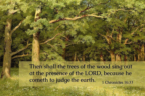 Bible Verse Quote 1 Chronicles 16:33, Ivan Shishkin - Forest Clearing Black Ornate Wood Framed Art Print with Double Matting by ArtsyQuotes